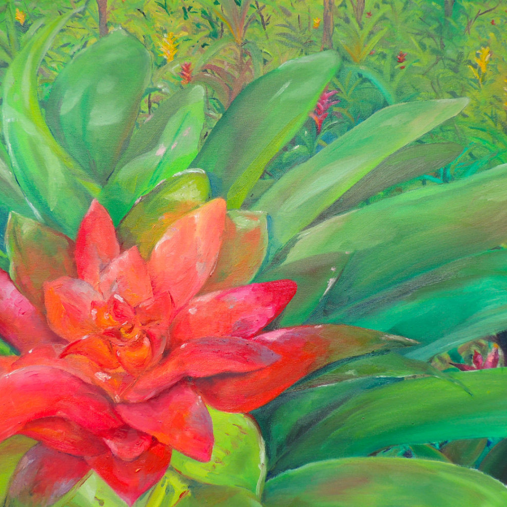 Bromelia — illustration